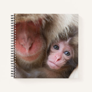 Carnet Animaux de bébés cutest Singe des neiges