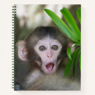 Carnet Animaux de bébés cutest Singe des neiges surpris
