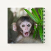 Carnet Animaux de bébés cutest | Singe des neiges surpris (Dos)