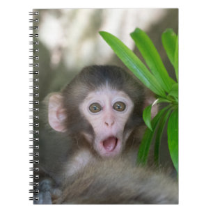 Carnet Animaux de bébés cutest Singe des neiges surpris
