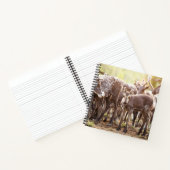 Carnet Animaux de bébés cutest | Svalbard Reindeer (Intérieur)