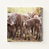 Carnet Animaux de bébés cutest | Svalbard Reindeer (Dos)