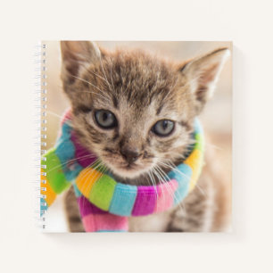 Carnet Animaux de bébés cutest Tabby Kitten Écharpe arc