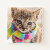 Carnet Animaux de bébés cutest | Tabby Kitten Écharpe arc (Dos)