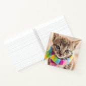 Carnet Animaux de bébés cutest | Tabby Kitten Écharpe arc (Intérieur)
