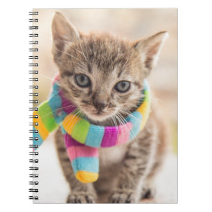 Carnet Animaux de bébés cutest Tabby Kitten Écharpe arc