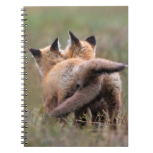 Carnet Animaux de bébés cutest Tails de verrouillage de