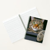 Carnet Animaux de bébés cutest | Tête de chat gris Tabby (Intérieur)