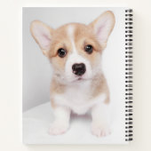 Carnet Animaux de bébés cutest | Tiny Corgi (Dos)