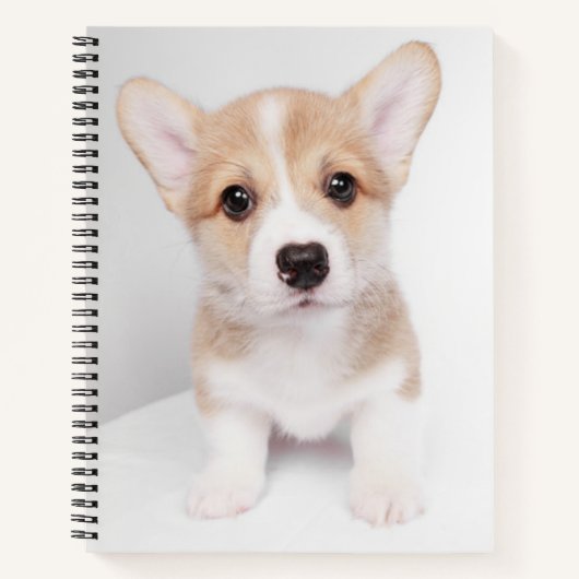 Carnet Animaux de bébés cutest | Tiny Corgi (Devant)