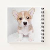 Carnet Animaux de bébés cutest | Tiny Corgi (Dos)