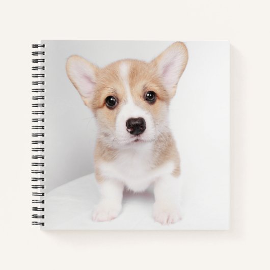 Carnet Animaux de bébés cutest | Tiny Corgi (Devant)