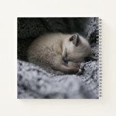 Carnet Animaux de bébés cutest | Tiny Kitten Dormir (Dos)
