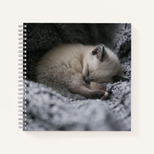 Carnet Animaux de bébés cutest Tiny Kitten Dormir
