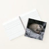 Carnet Animaux de bébés cutest | Tiny Kitten Dormir (Intérieur)