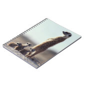 Carnet Animaux de bébés cutest | Une famille de Meerkats (Côté gauche)