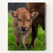 Carnet Animaux de bébés cutest | Vache et veau (Dos)