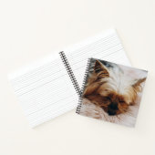 Carnet Animaux de bébés cutest | Yorkshire Terrier (Intérieur)