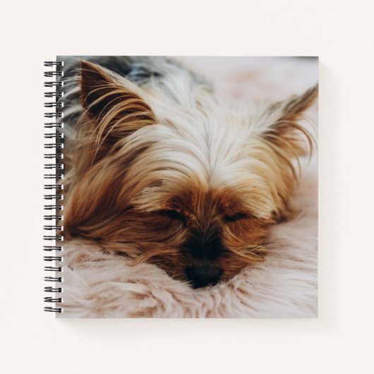 Carnet Animaux de bébés cutest | Yorkshire Terrier (Devant)