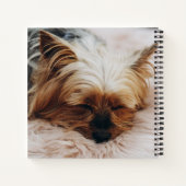 Carnet Animaux de bébés cutest | Yorkshire Terrier (Dos)