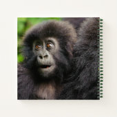 Carnet Animaux de bébés cutest | Young Mountain Gorilla (Dos)