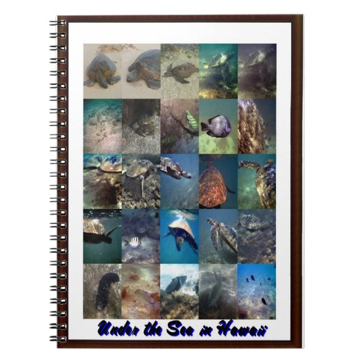 Carnet Animaux de mer (Devant)