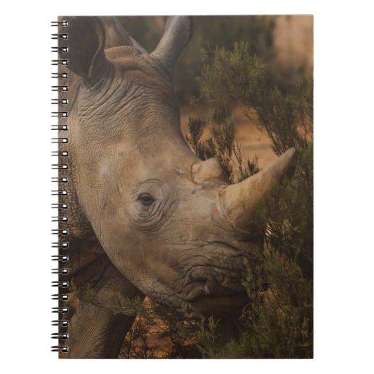 CARNET ANIMAUX SAUVAGES RHINO (Devant)