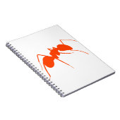 Carnet Ant orange (Côté Droit)