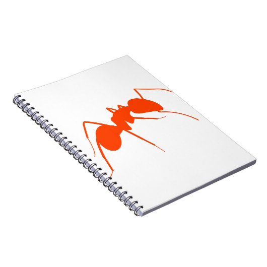 Carnet Ant orange (Côté Droit)