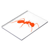 Carnet Ant orange (Côté gauche)