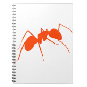 Carnet Ant orange (Devant)