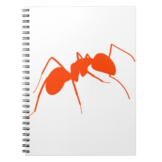 Carnet Ant orange (Devant)