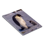 Carnet Antarctique Mère pingouin caresses bébé (Côté Droit)