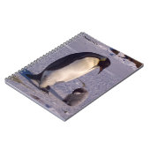 Carnet Antarctique Mère pingouin caresses bébé (Côté gauche)