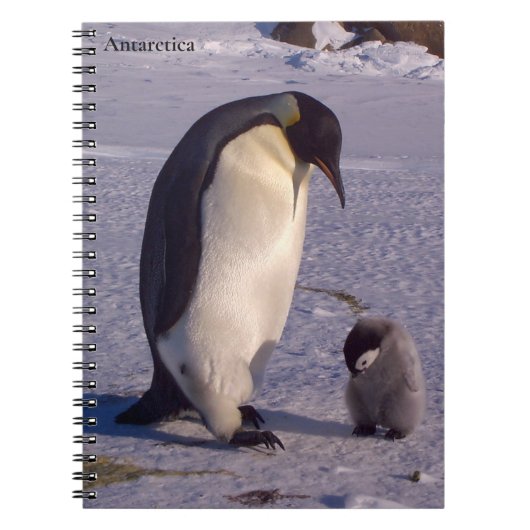 Carnet Antarctique Mère pingouin caresses bébé (Devant)
