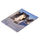 Carnet Antarctique Mère pingouin caresses bébé (Côté gauche)
