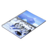 Carnet Antarctique, péninsule Antarctique, mer de Weddell (Côté gauche)