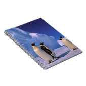 Carnet Antarctique, territoire australien antarctique, 7 (Côté Droit)