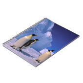 Carnet Antarctique, territoire australien antarctique, 7 (Côté gauche)