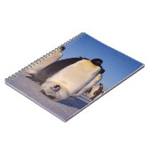 Carnet Antarctique, troupeau de pingouins photo (Côté gauche)