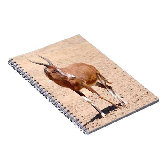 Carnet Antelope blesbok (Côté Droit)