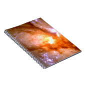 Carnet Antennes Galaxy Closeup (NGC 4038:4039 ) (Côté Droit)