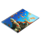 Carnet Anthias de Lyretail sur le récif coralien (Côté gauche)