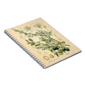 Carnet Antique Blackthorn Botanique Imprimé Fleur Berry (Côté Droit)