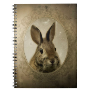 Carnet Antique Bunny Portrait