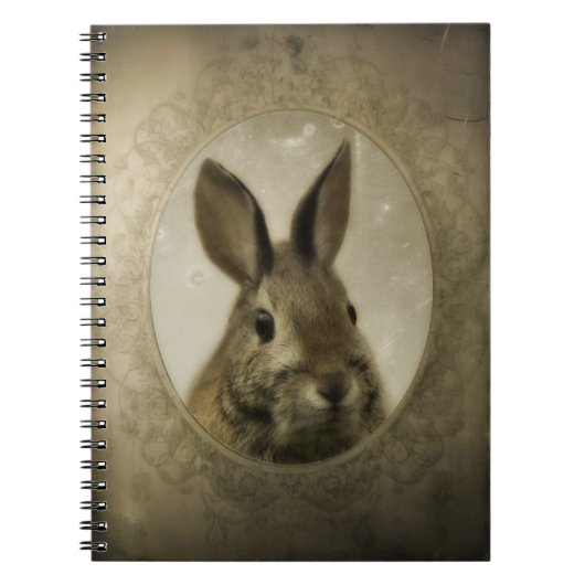 Carnet Antique Bunny Portrait (Devant)