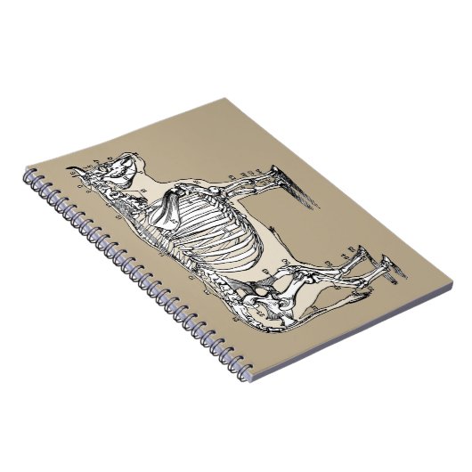 Carnet Antique Cow Skeleton Bones (Côté Droit)