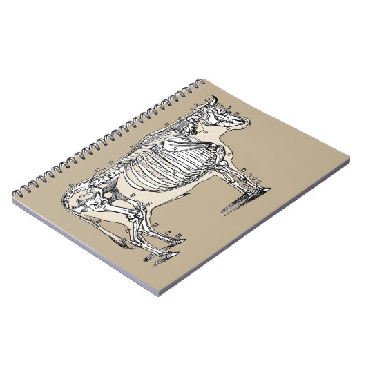 Carnet Antique Cow Skeleton Bones (Côté gauche)