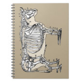 Carnet Antique Cow Skeleton Bones (Devant)