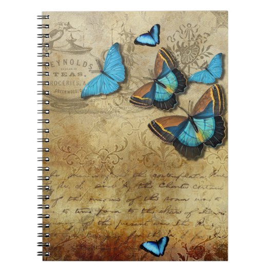 Carnet Antique Rustique Découpe et Papillons Bleus (Devant)
